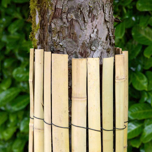 protection naturelle pour arbre