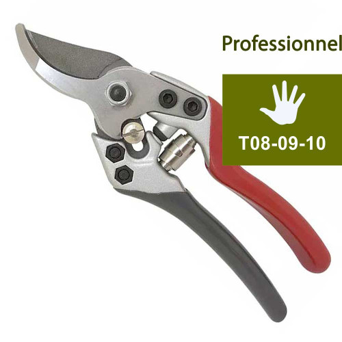 secateur professionnel