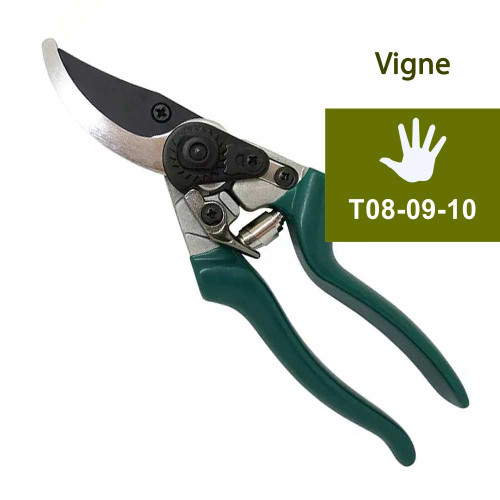 secateur de vendange et entretien de vigne