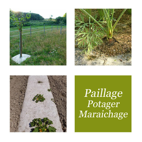 Paillage bio pour potager