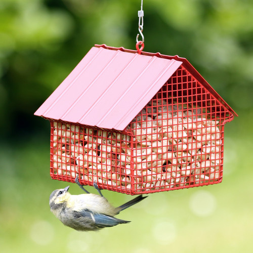 Grillage pour protection oiseaux exotiques - Fournisseur de