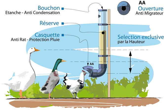 mangeoire d'elevage de poules, canards et oies