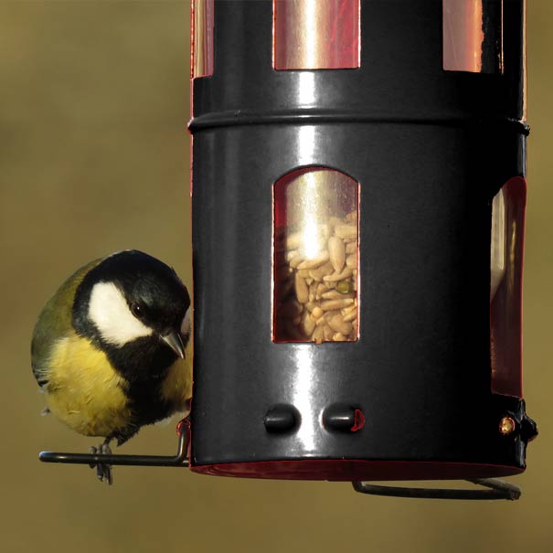 mangeoire noire, distributeur de graines aux oiseau du jardin