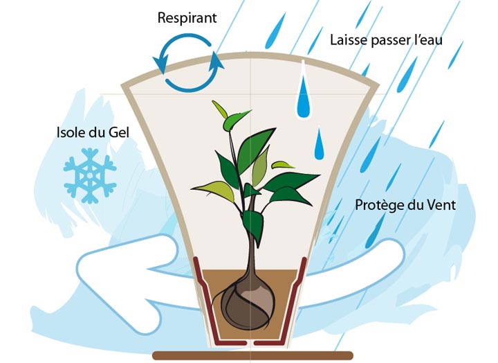 Vous n'avez pas de voile d'hivernage pour protéger vos plantes contre les  gels ? Voici 7 idées de protections alternatives à utiliser !
